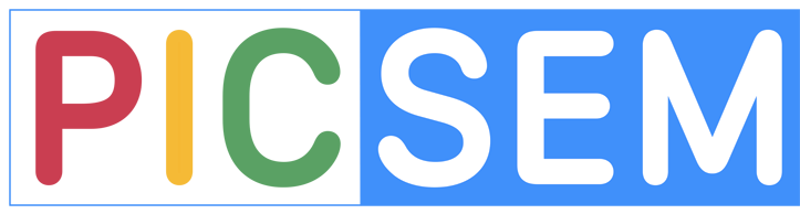 Logo Picsem Philippe Istace Consultant SEM